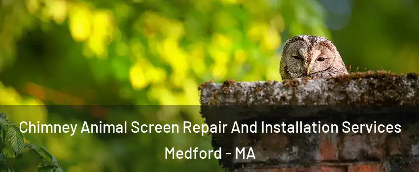  Chimney Animal Screen Repair And Installation Services Medford - MA