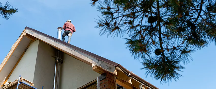 Birds Removal Contractors from Chimney in Medford, MA